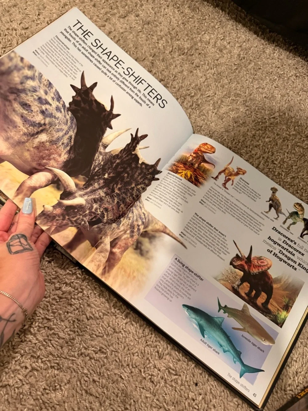 Age of Dinosaurs & Dino Trux Game Bundle - books